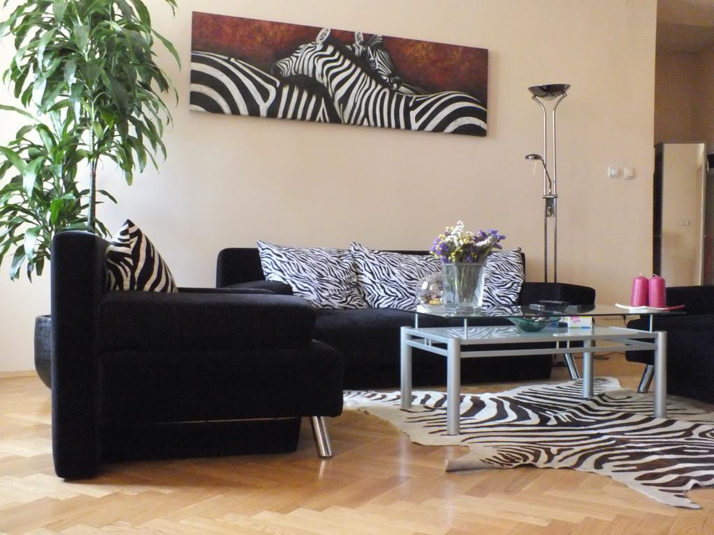 Zebra Kraków